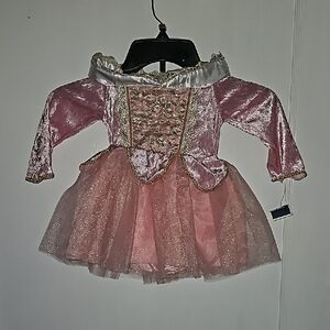 FOA Schwarz princess pink dress with Shimmery Bodice and Fluffy Skirt